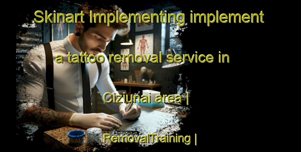 Skinart Implementing implement a tattoo removal service in Ciziunai area | RemovalTraining | RemovalClasses | SkinartTraining-Lithuania